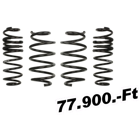 ltetrug Eibach Ford Fiesta MK6, 1.4 TDCi, 1.5 TDCi, 1.6 TDCi, 1.6ST, 1.6ST 200, 2007.10-2017.04-ig, (els tengely terhels 856-895kg), Pro-Kit, -30/30mm-es 
