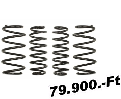 ltetrug Eibach Seat Ibiza (Typ: 6L), 1.8T, 1.9 SDI, 1.4TDI, 1.9TDi, 2002.02-tl, Pro-Kit, -30/25mm-es 
